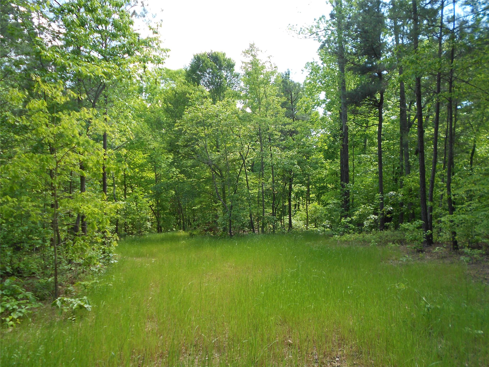 7259 Tyree Rd, Winston, GA 30187 photo 6
