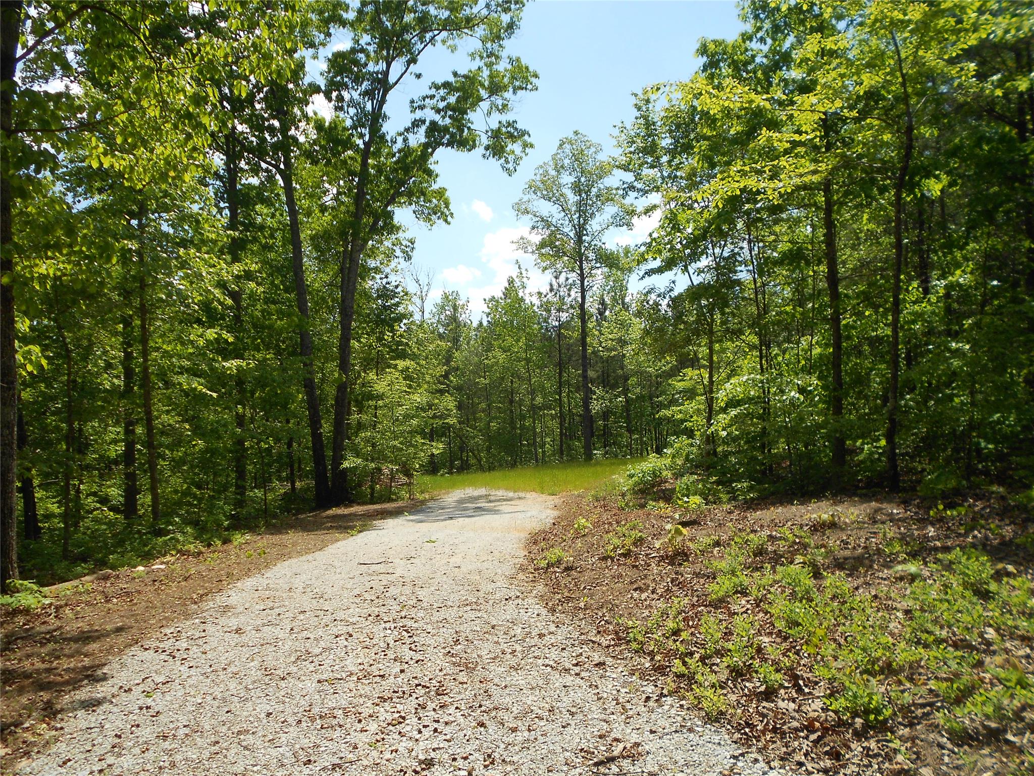 7259 Tyree Rd, Winston, GA 30187 photo 4
