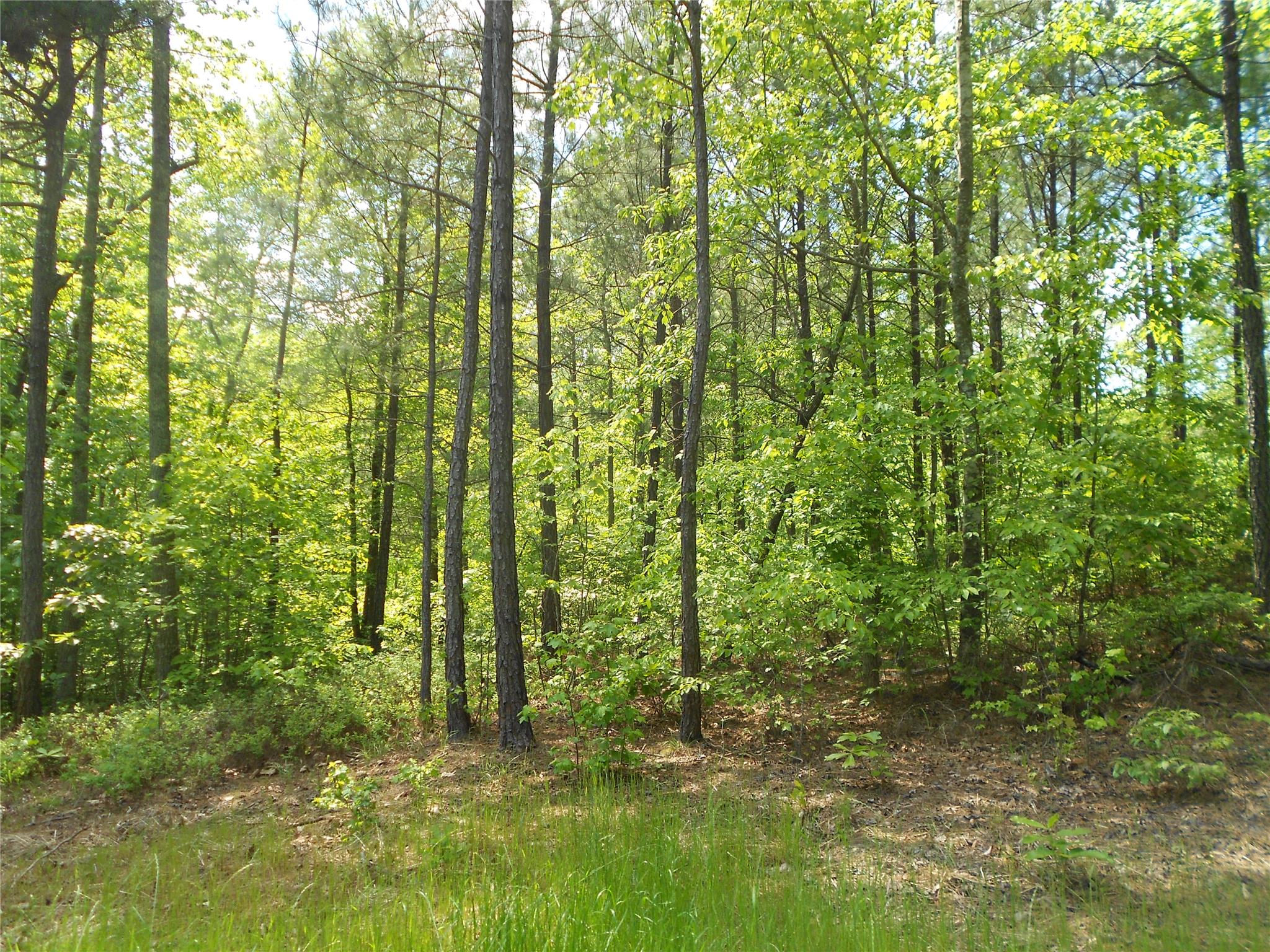 7259 Tyree Rd, Winston, GA 30187 photo 7