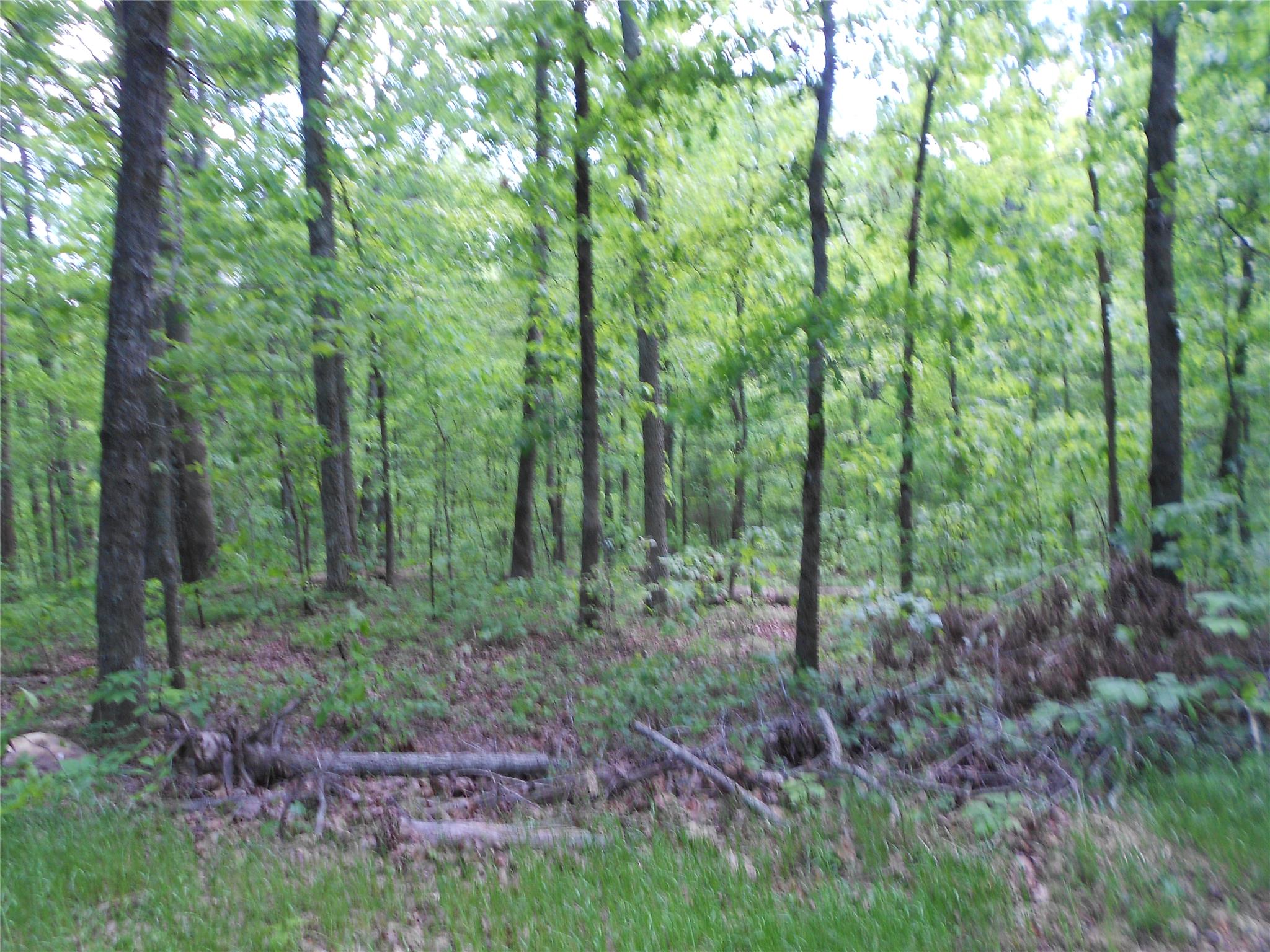 7259 Tyree Rd, Winston, GA 30187 photo 8