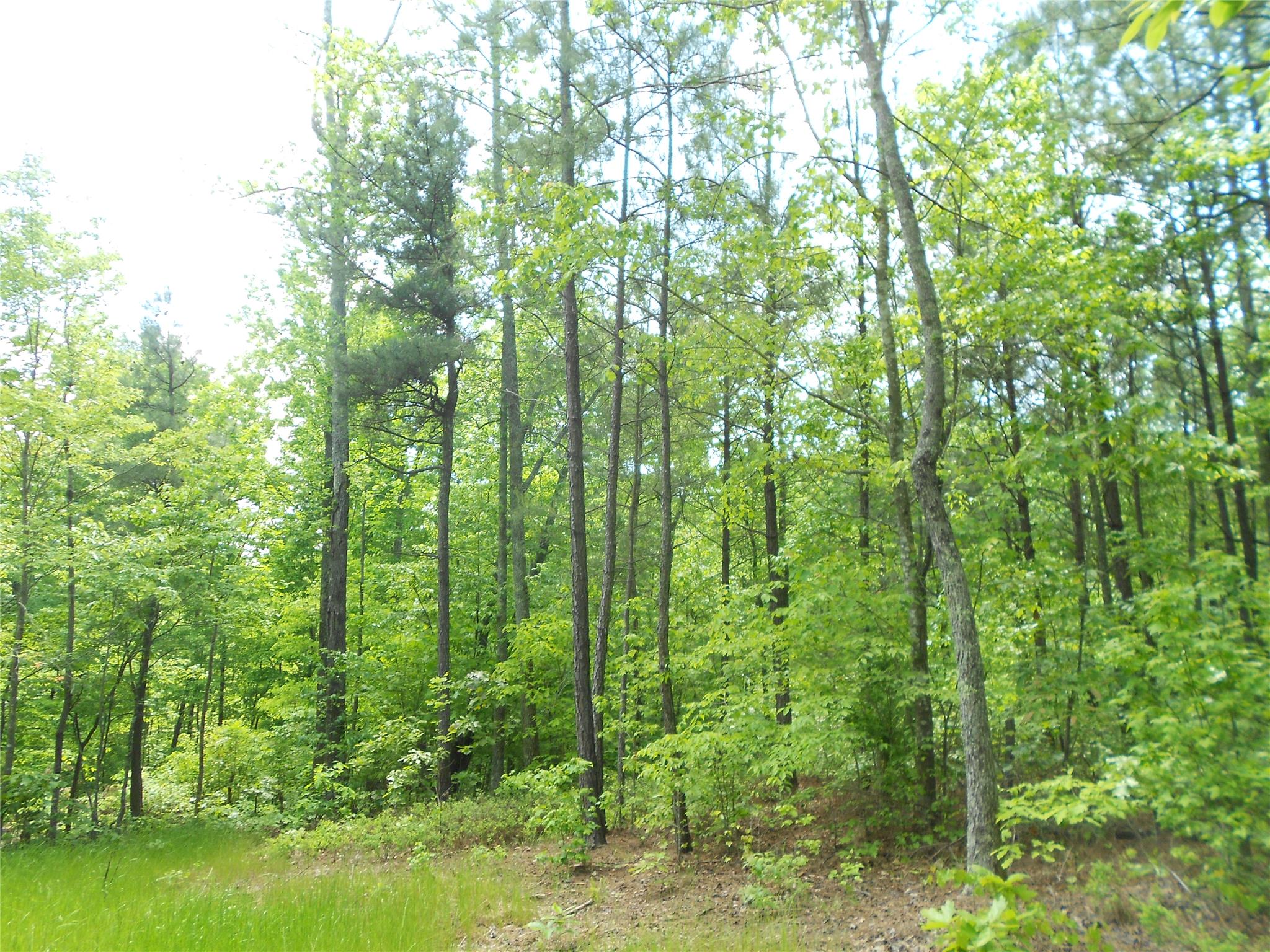 7259 Tyree Rd, Winston, GA 30187 photo 13
