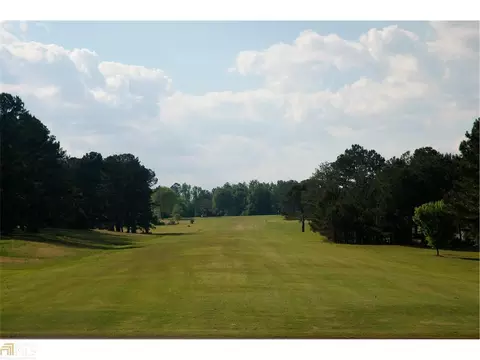 431 Lufbery Cir, Williamson, GA 30292 photo 22