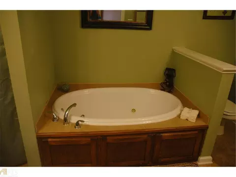 431 Lufbery Cir, Williamson, GA 30292 photo 9