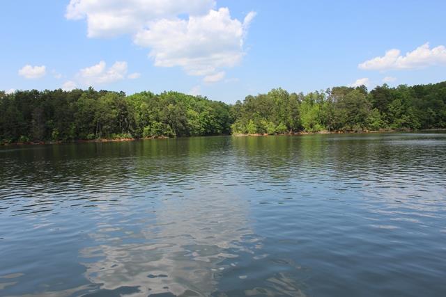 419 Currahee Pt, Toccoa, GA 30577 photo 25
