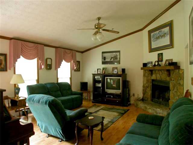 3915 Dollar Cir, Suwanee, GA 30024 photo 3