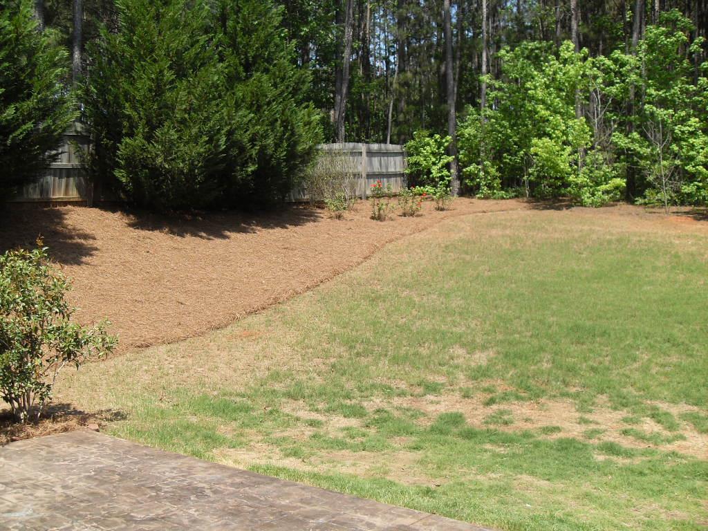 410 Southridge, Senoia, GA 30276 photo 19