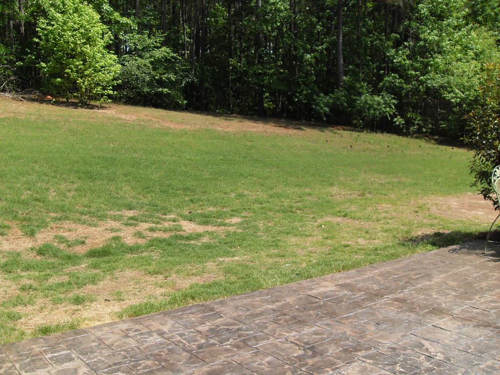410 Southridge, Senoia, GA 30276 photo 18