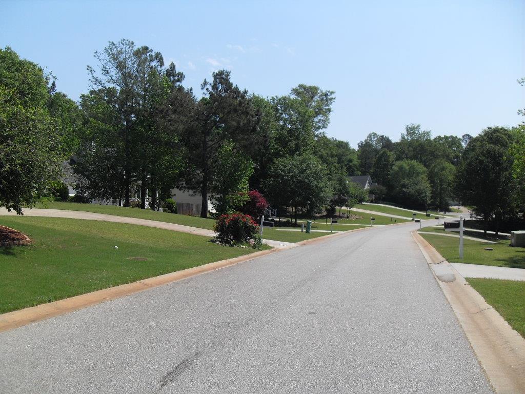 410 Southridge, Senoia, GA 30276 photo 2