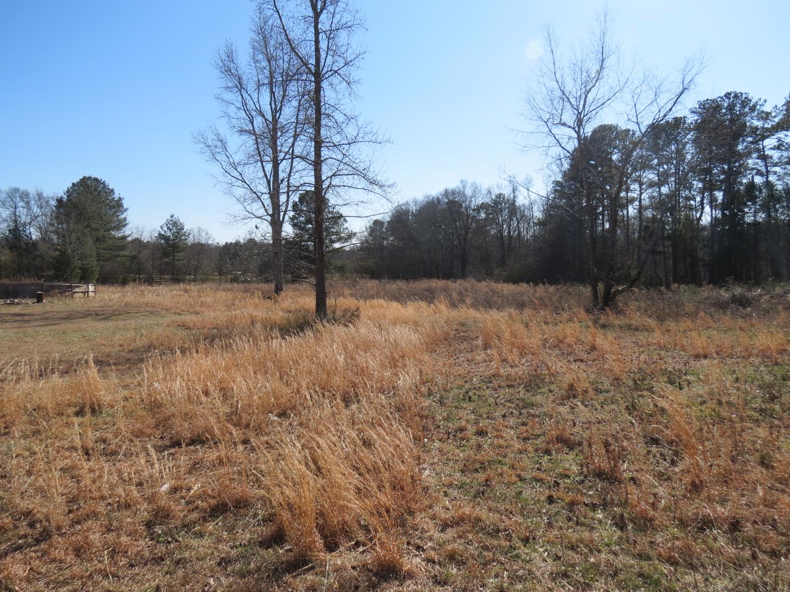 164 Godsey Rd, Jackson, GA 30233 photo 6