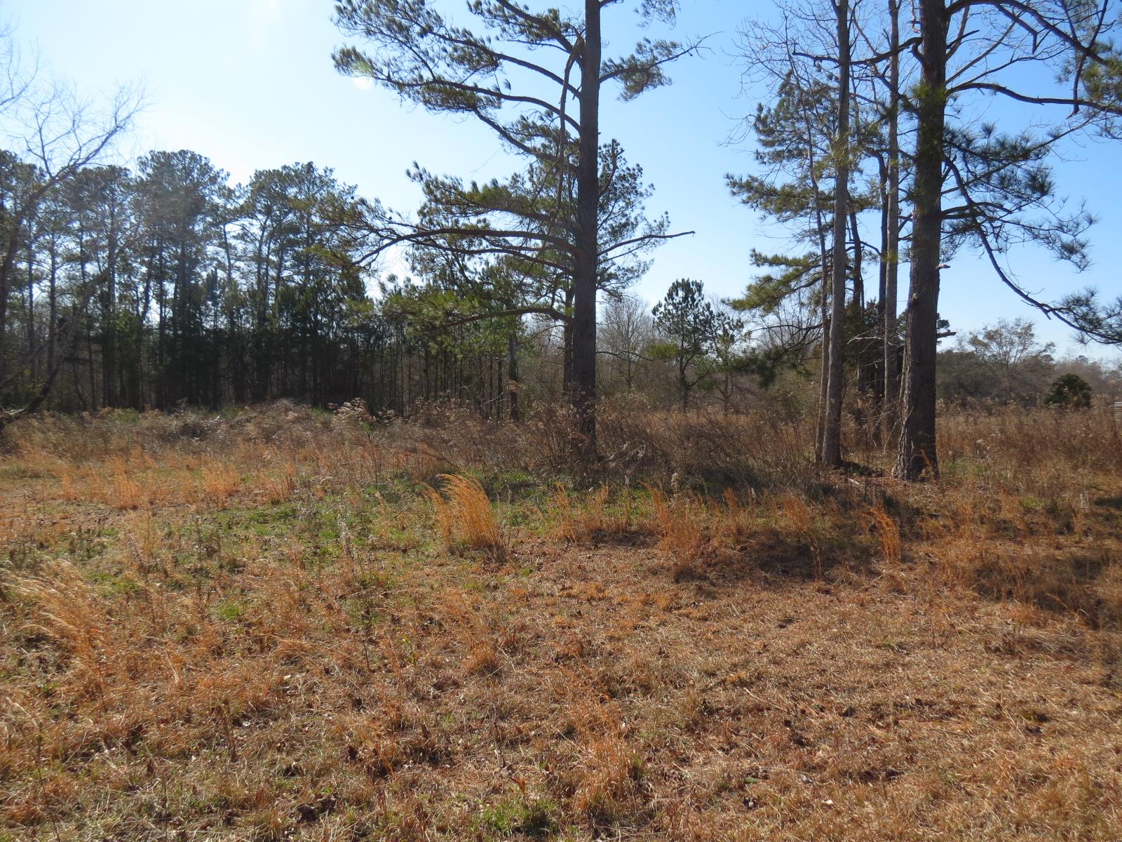 164 Godsey Rd, Jackson, GA 30233 photo 5