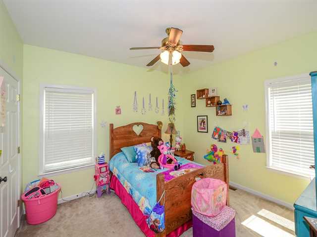 230 Valley View Way, Jasper, GA 30143 photo 15