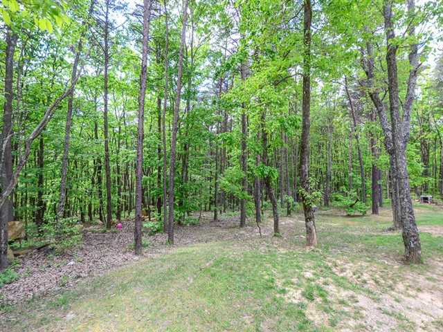 230 Valley View Way, Jasper, GA 30143 photo 20