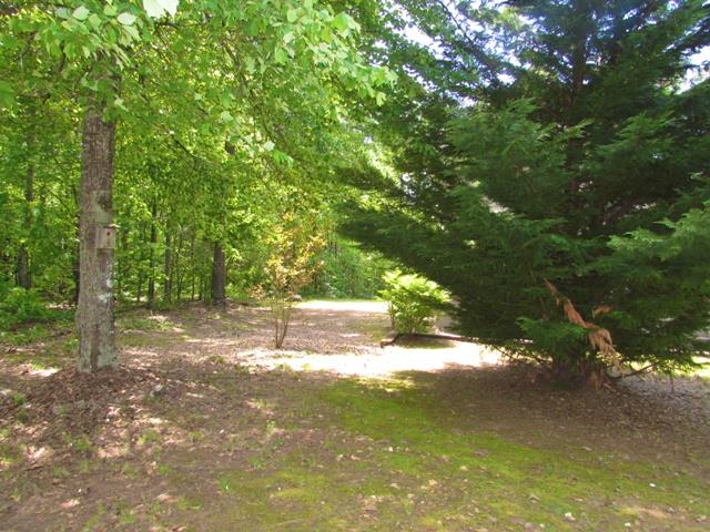 1475 Bob Patton Rd, Clarkesville, GA 30523 photo 13