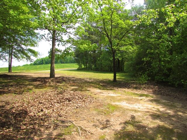 1475 Bob Patton Rd, Clarkesville, GA 30523 photo 11