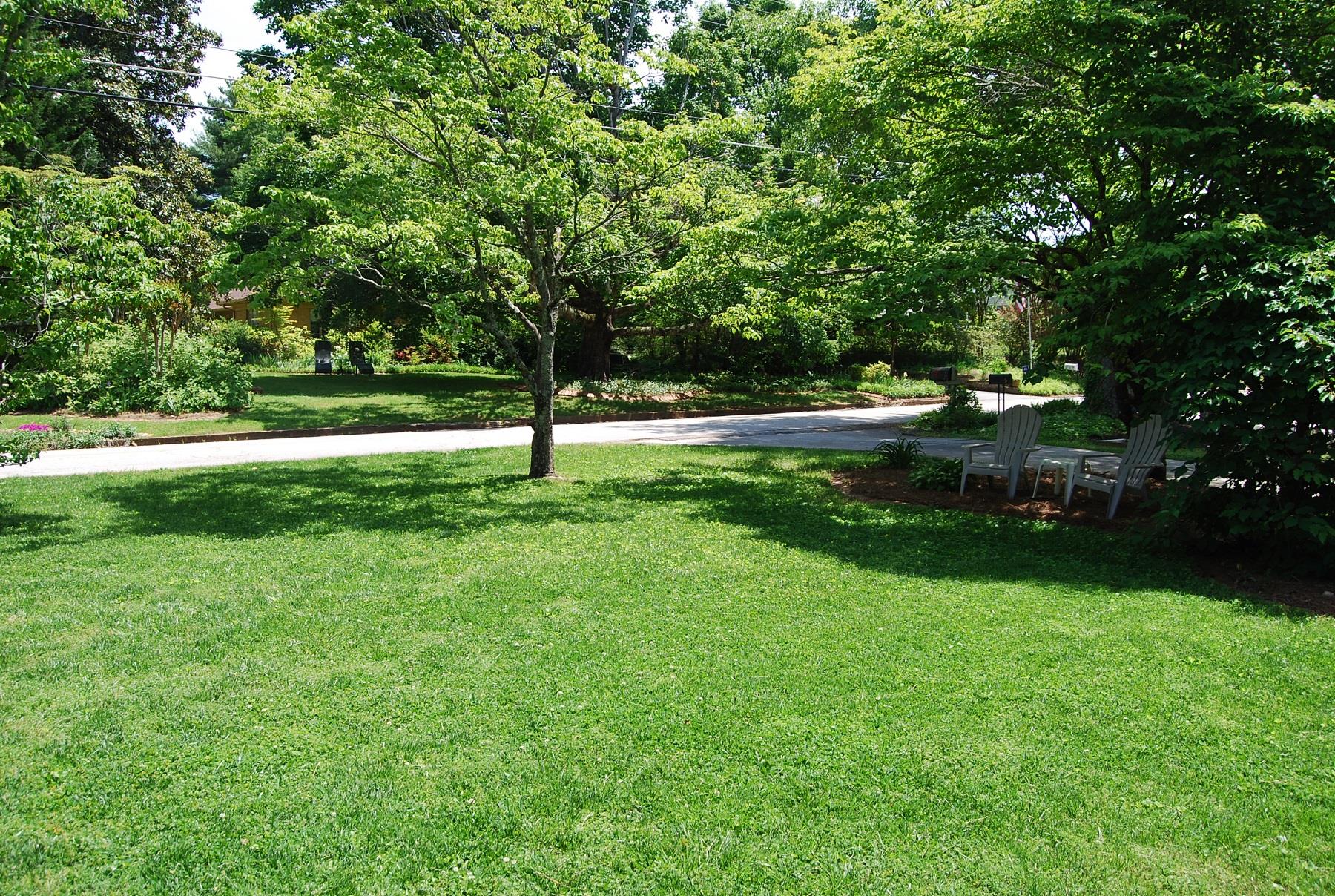 343 Chenocetah Dr, Cornelia, GA 30531 photo 2