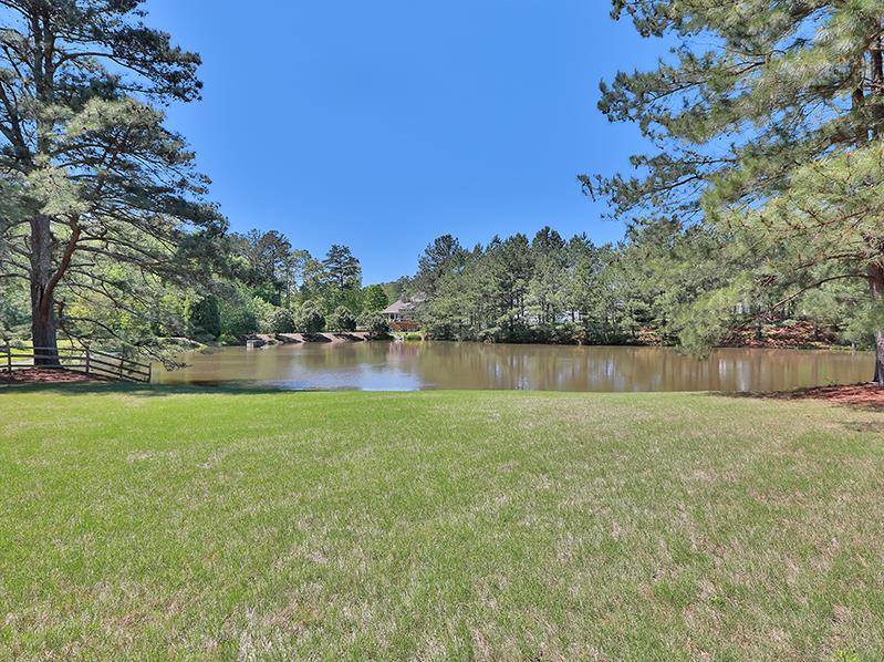 115 Chatham Ct, Tyrone, GA 30290 photo 23