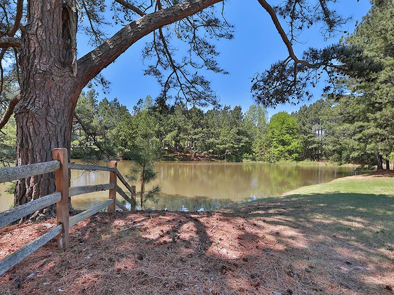 115 Chatham Ct, Tyrone, GA 30290 photo 24