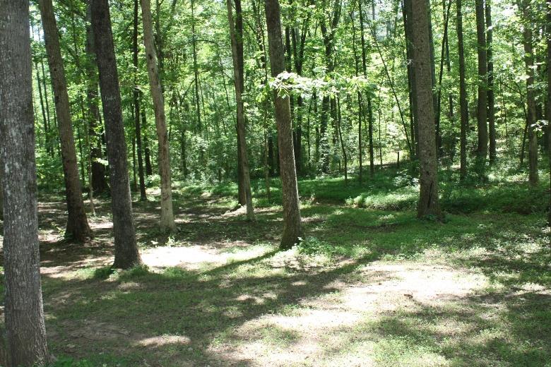 481 Buchanan Rd, Franklin, GA 30217 photo 15
