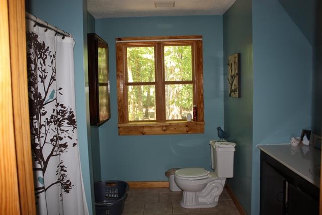481 Buchanan Rd, Franklin, GA 30217 photo 8