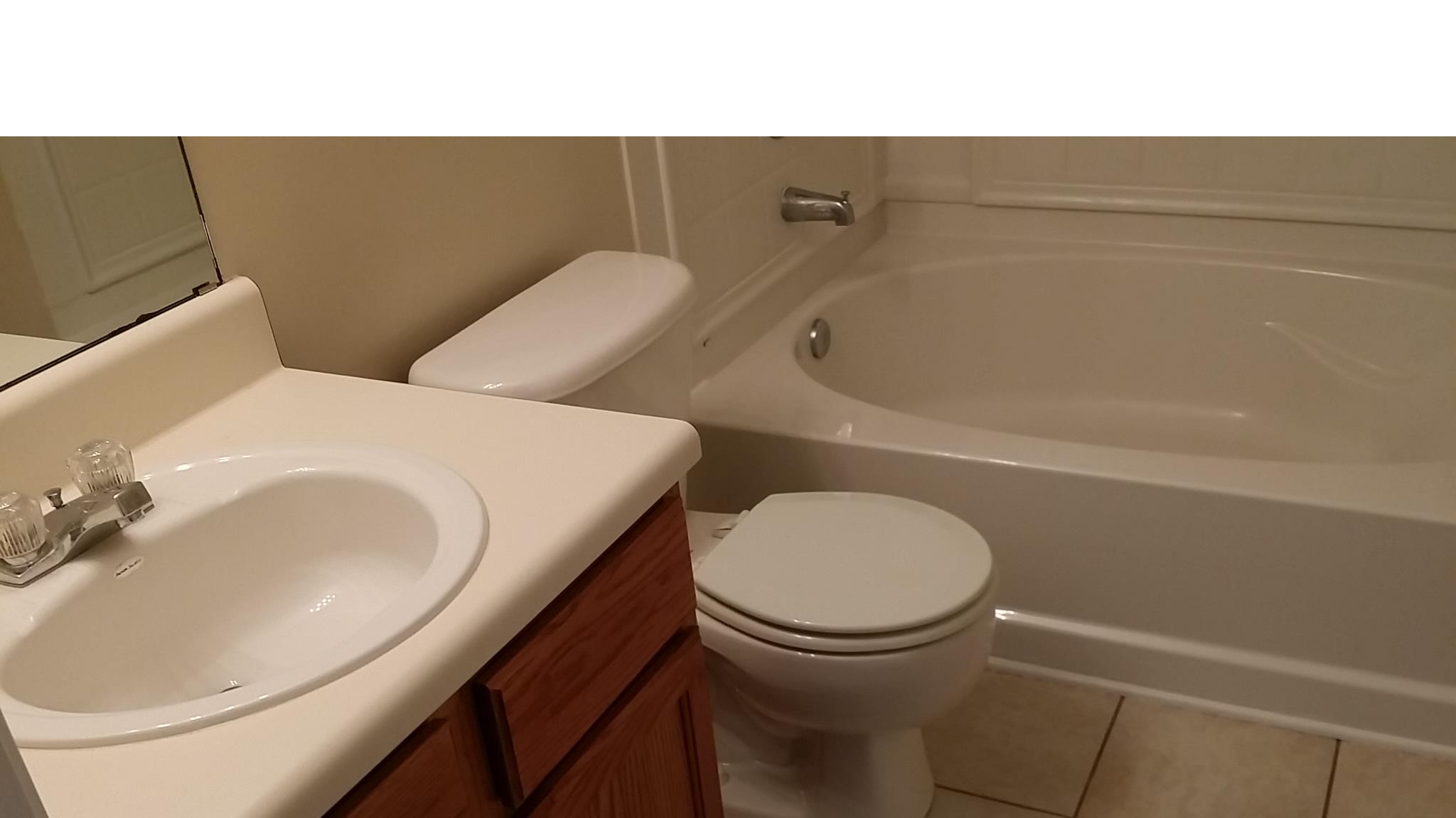 533 Rangeley Meadows Ct, Hampton, GA 30228 photo 9