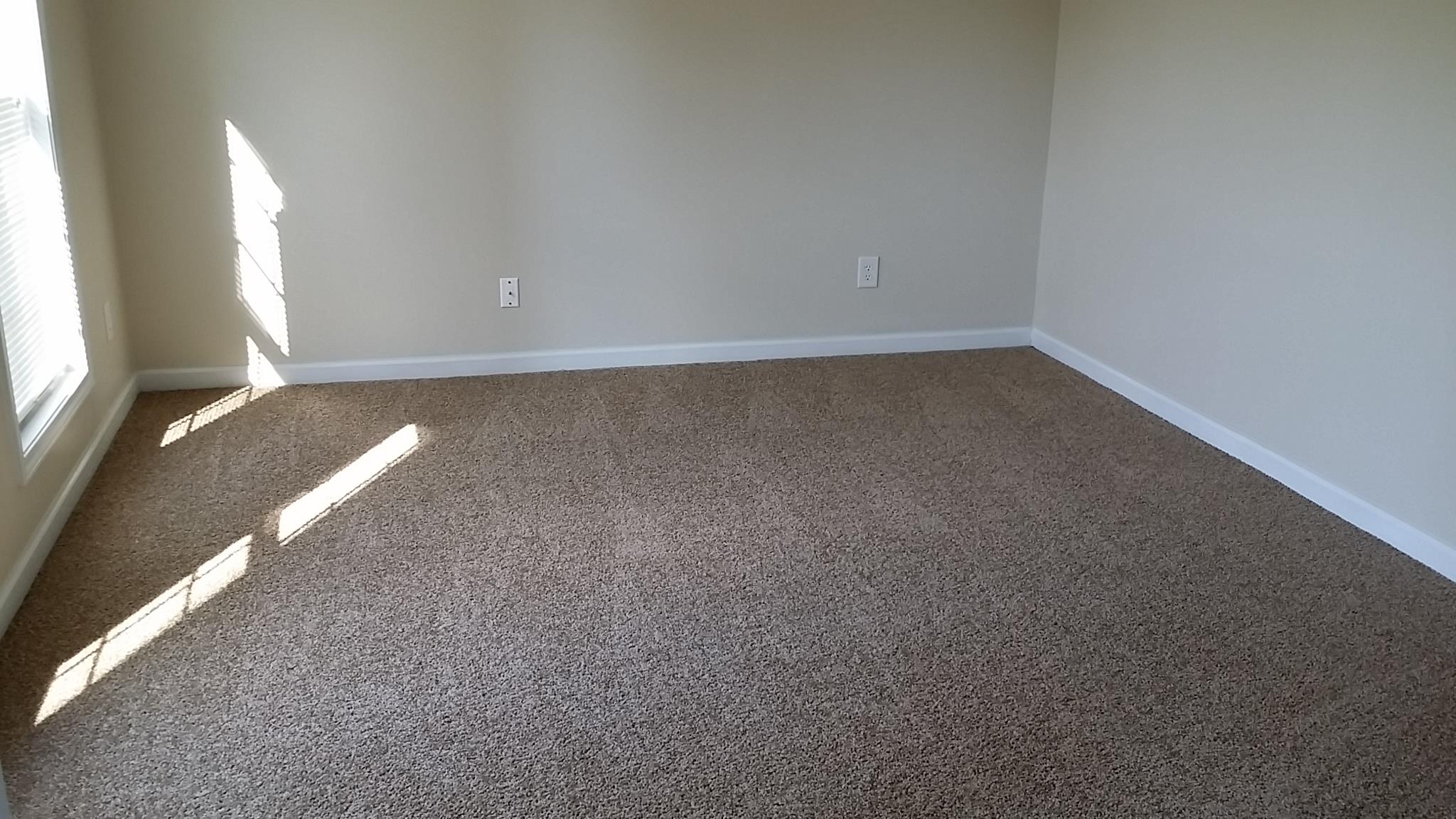 533 Rangeley Meadows Ct, Hampton, GA 30228 photo 3