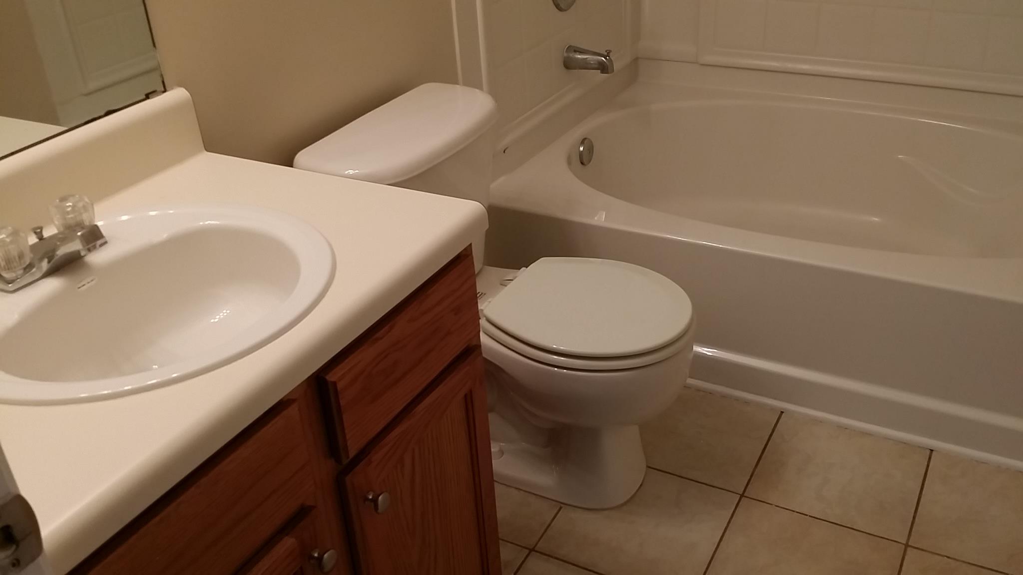 533 Rangeley Meadows Ct, Hampton, GA 30228 photo 8