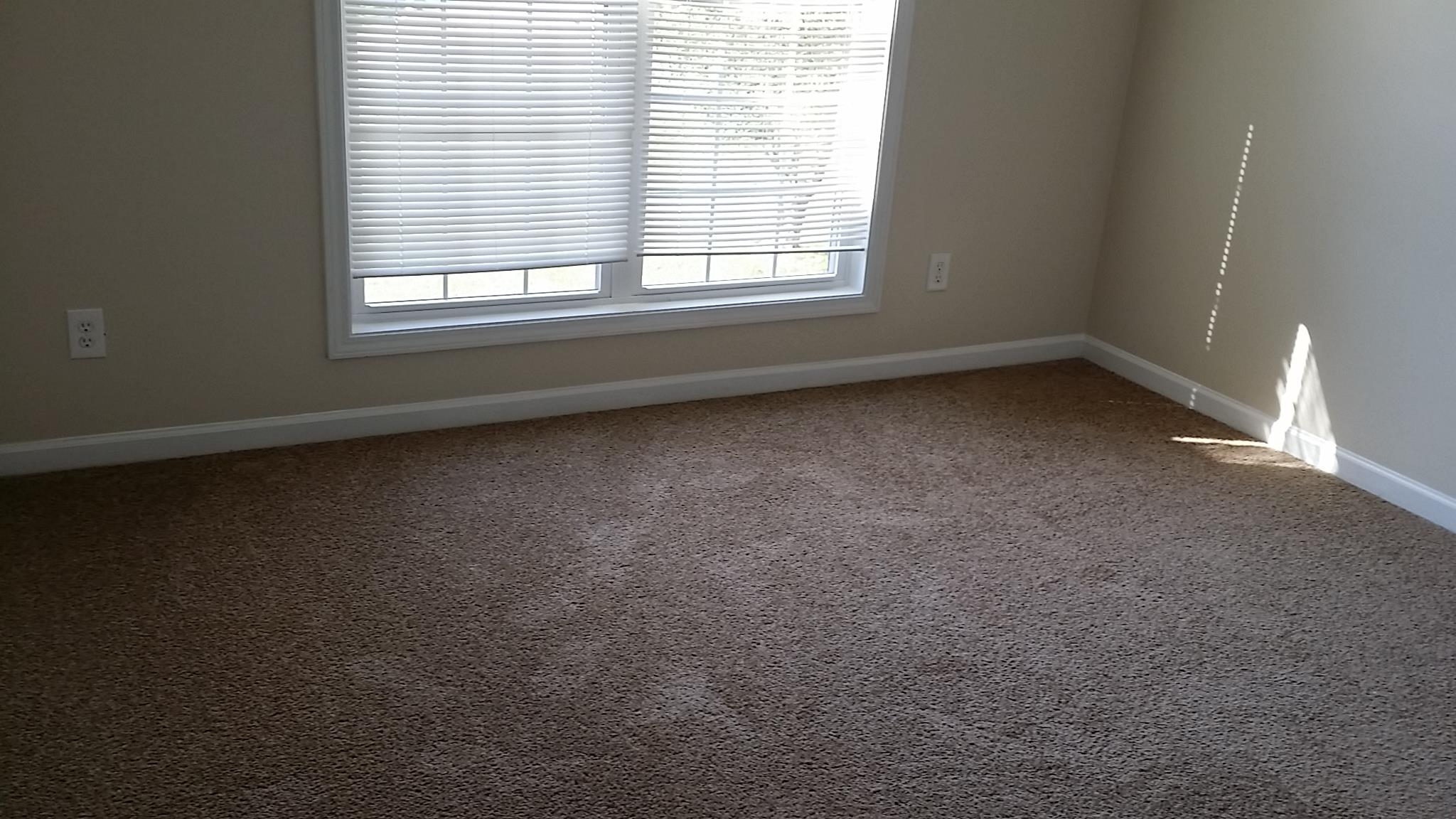 533 Rangeley Meadows Ct, Hampton, GA 30228 photo 23