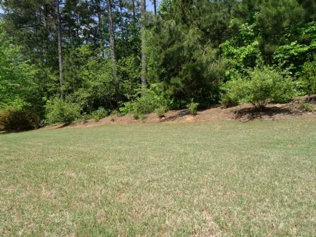 58 Crystal Downs Way, Suwanee, GA 30024 photo 9