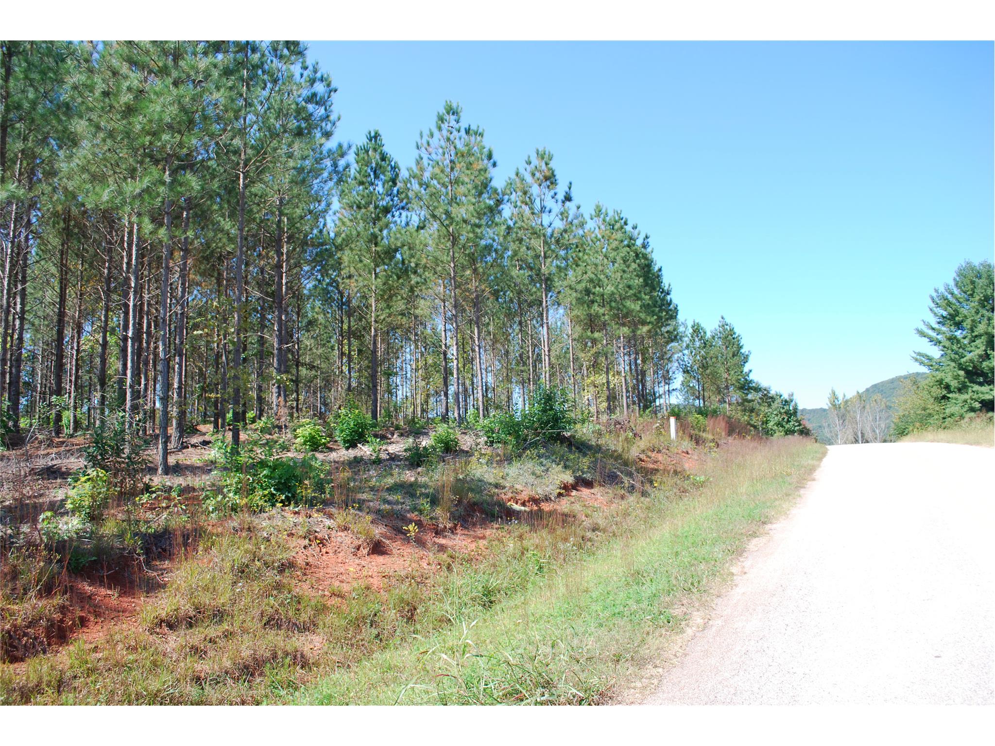 8990 Bill Savage Rd, Lula, GA 30554 photo 6