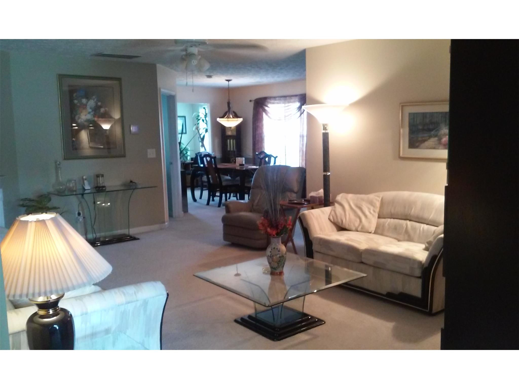 10934 Cimmaron Ct, Hampton, GA 30228 photo 3