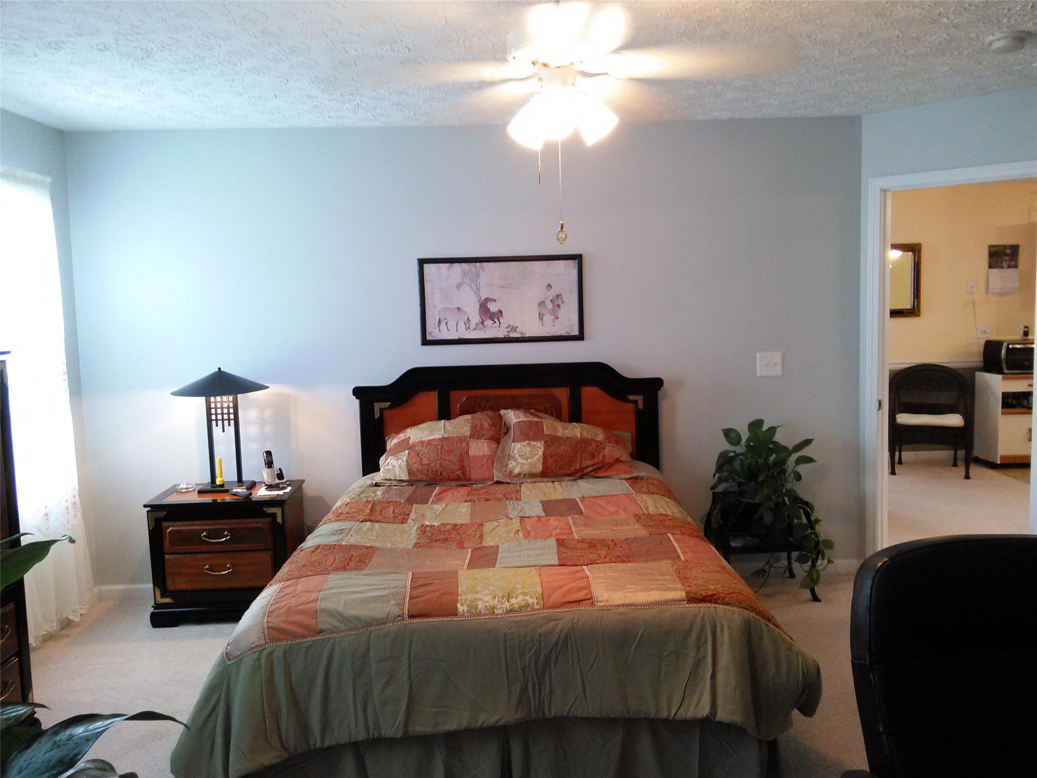 10934 Cimmaron Ct, Hampton, GA 30228 photo 10