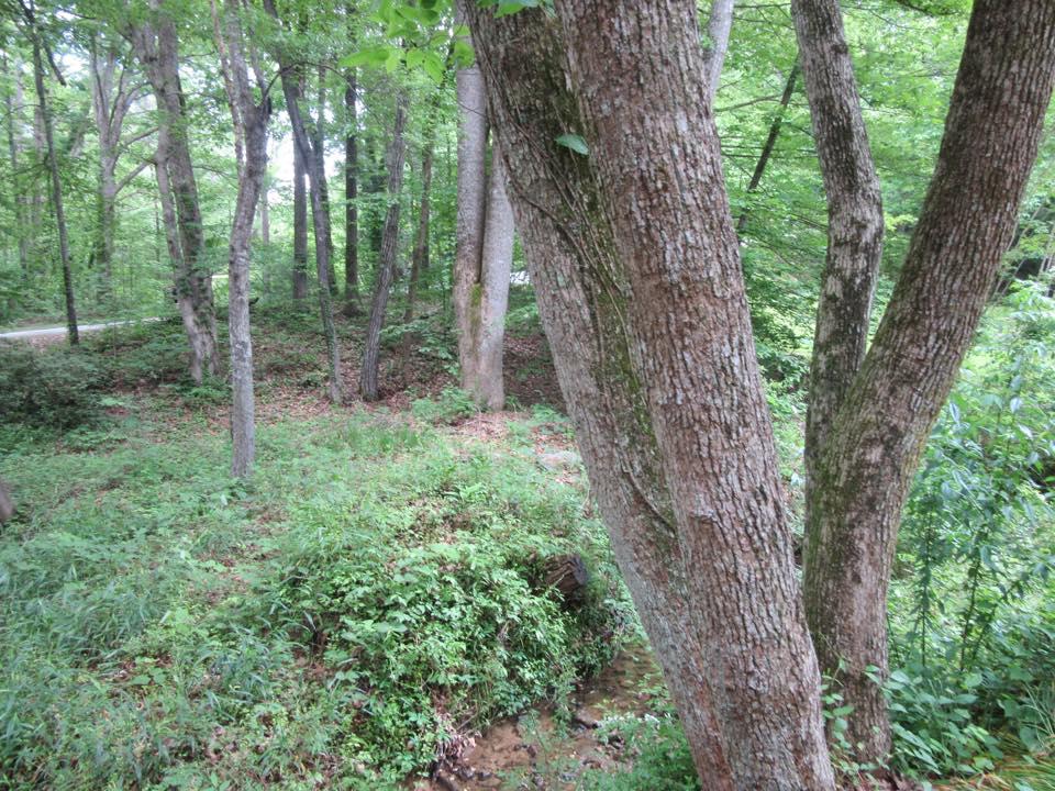 618 Henderson Falls Rd, Toccoa, GA 30577 photo 7