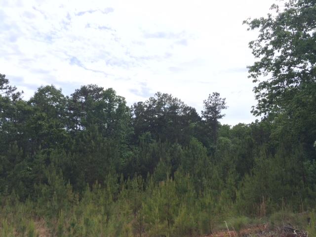 22 Crolley Ln, White, GA 30184 photo 5