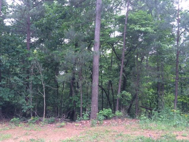 22 Crolley Ln, White, GA 30184 photo 13