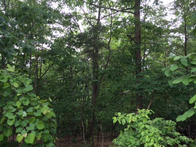 22 Crolley Ln, White, GA 30184 photo 12