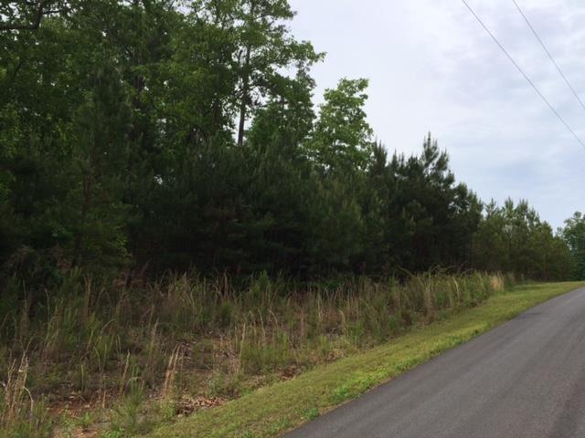 22 Crolley Ln, White, GA 30184 photo 8