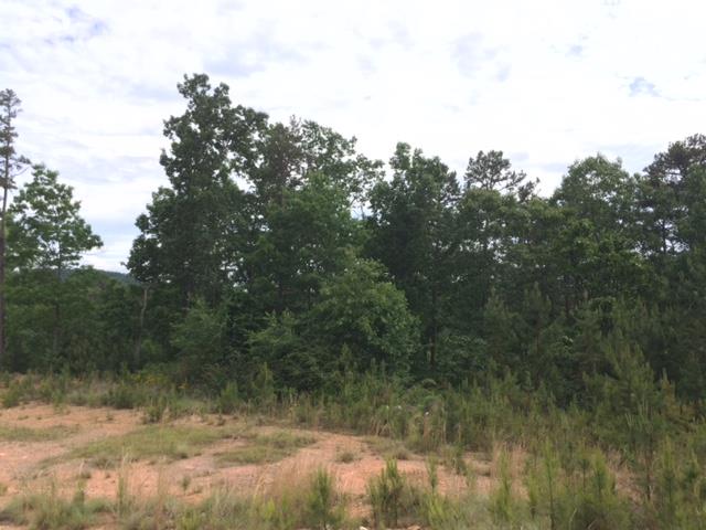 22 Crolley Ln, White, GA 30184 photo 6