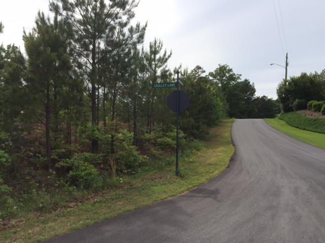 22 Crolley Ln, White, GA 30184 photo 10