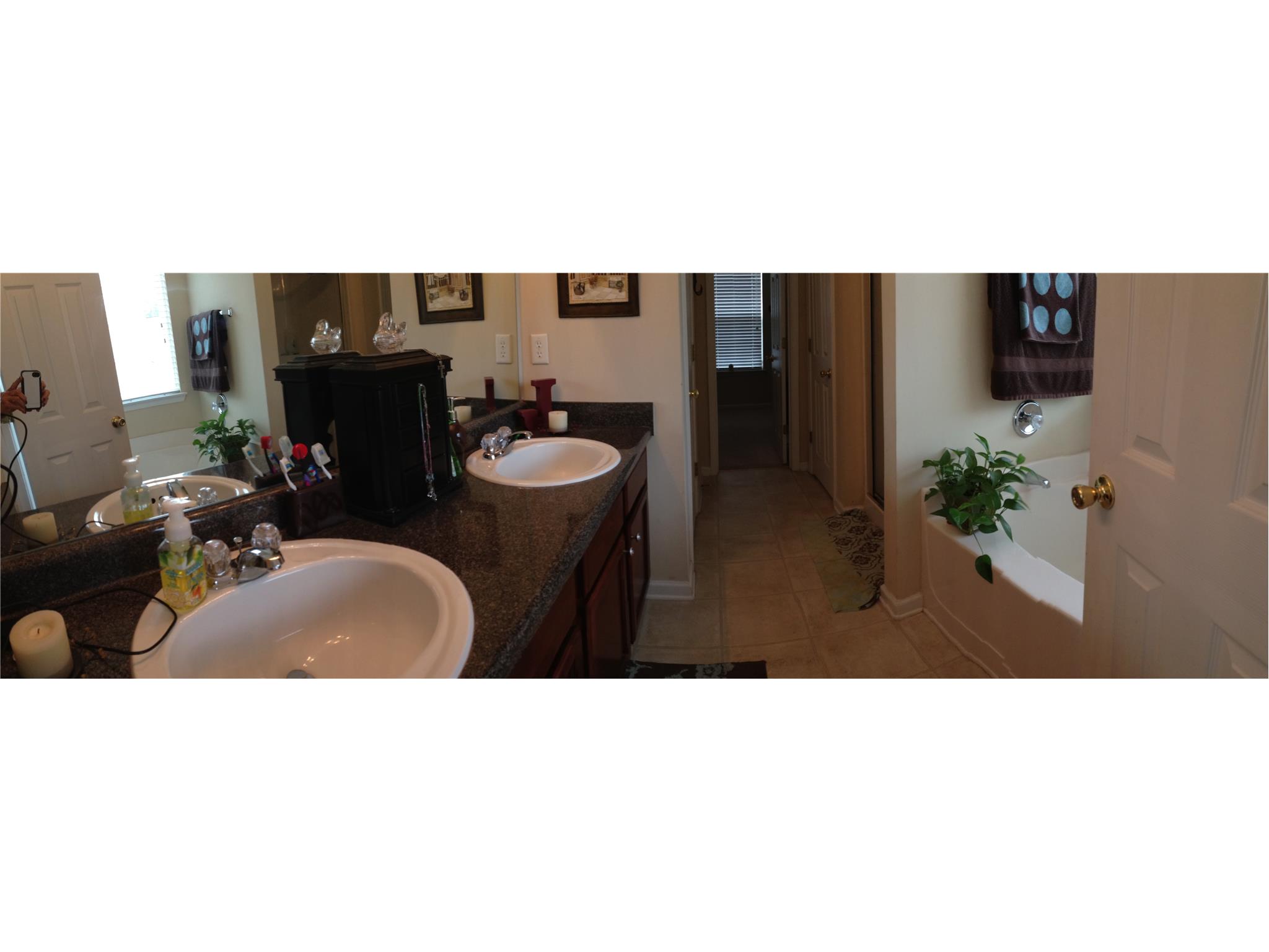 648 Penstock Path, Hampton, GA 30228 photo 13