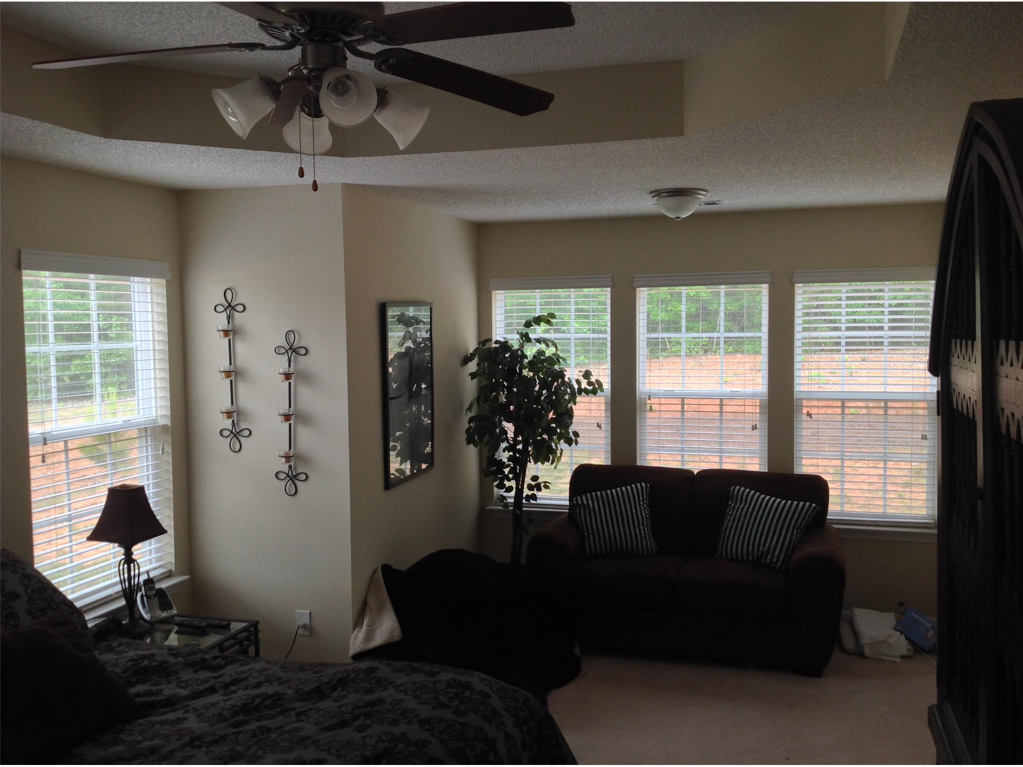648 Penstock Path, Hampton, GA 30228 photo 10