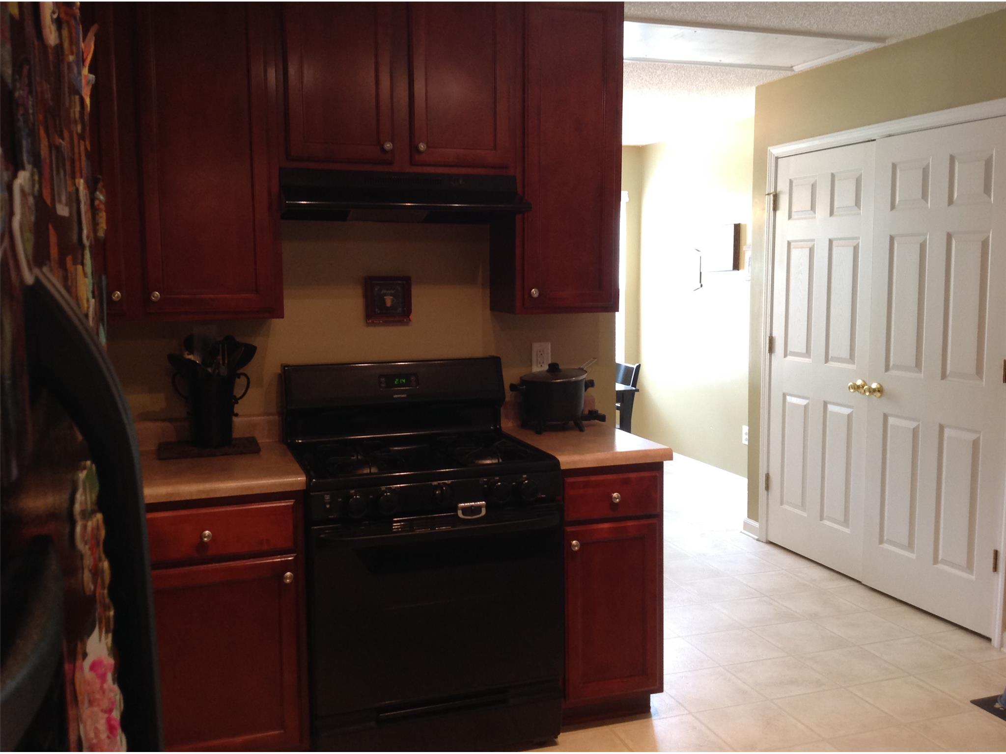 648 Penstock Path, Hampton, GA 30228 photo 8