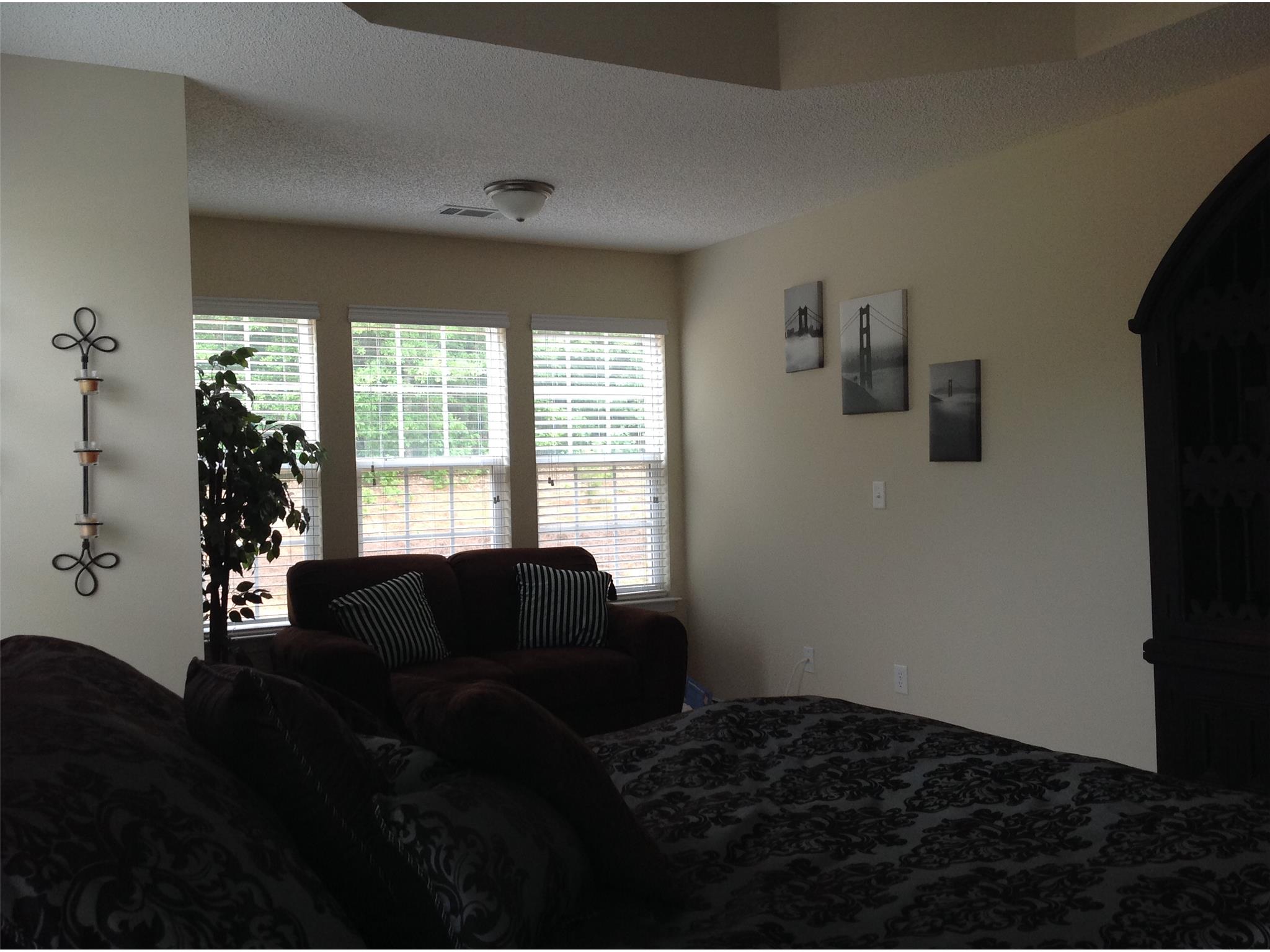 648 Penstock Path, Hampton, GA 30228 photo 11