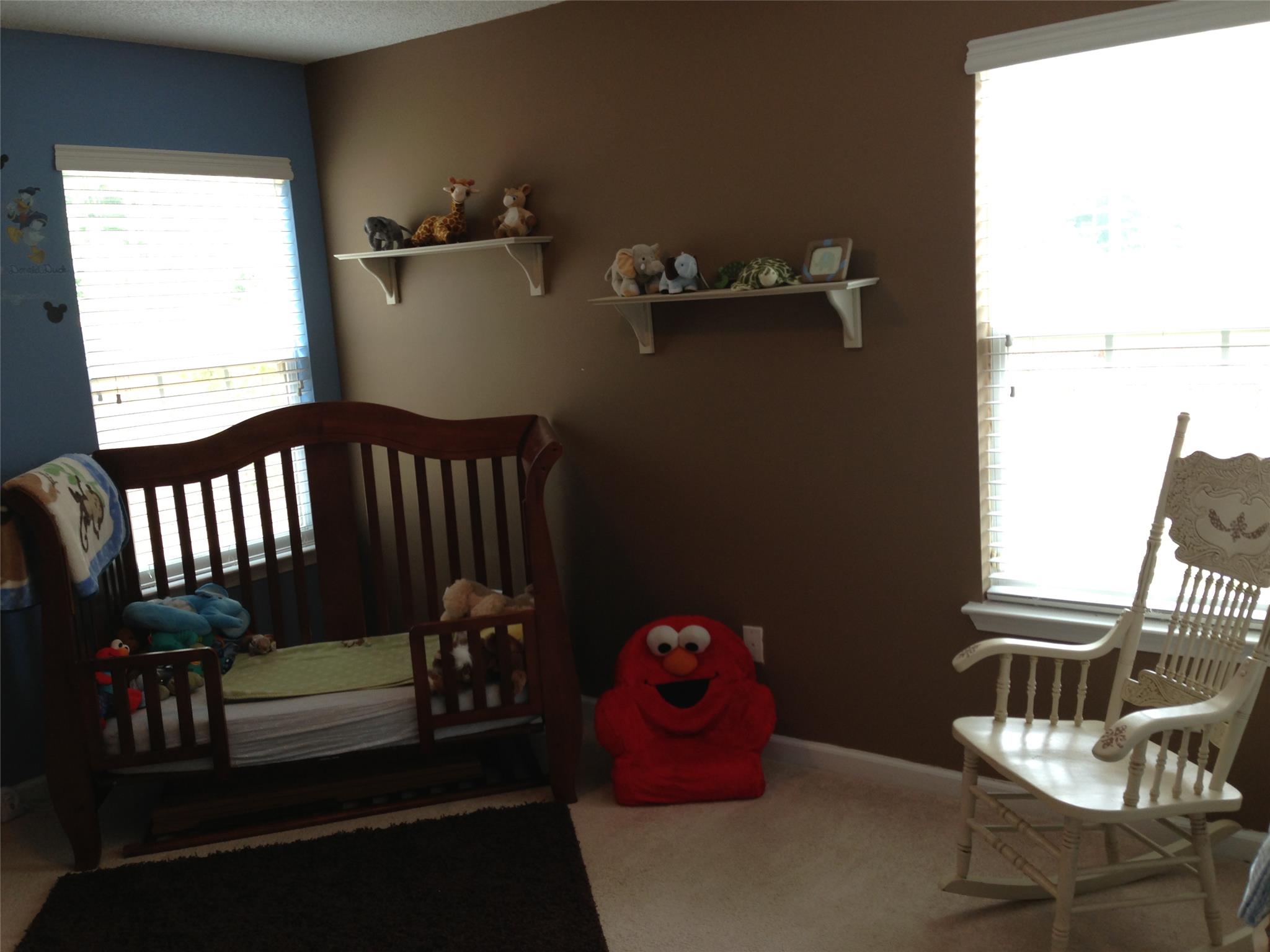 648 Penstock Path, Hampton, GA 30228 photo 5