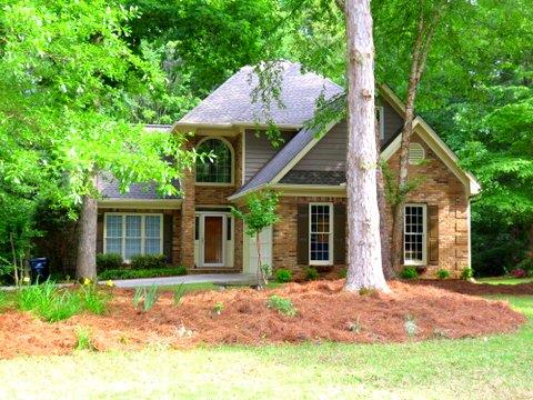 165 Weeping Willow Way, Tyrone, GA 30290 photo 25