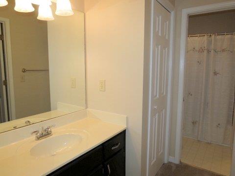 165 Weeping Willow Way, Tyrone, GA 30290 photo 18