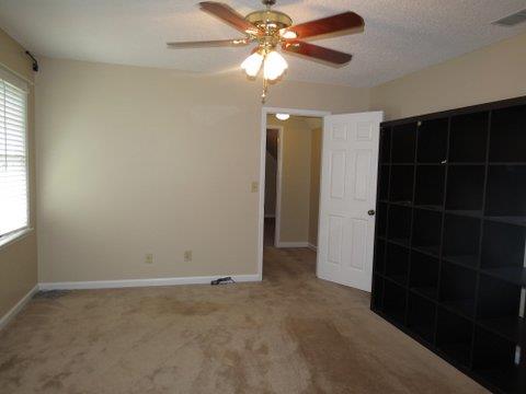 165 Weeping Willow Way, Tyrone, GA 30290 photo 19