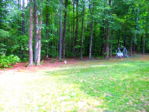 165 Weeping Willow Way, Tyrone, GA 30290 photo 22