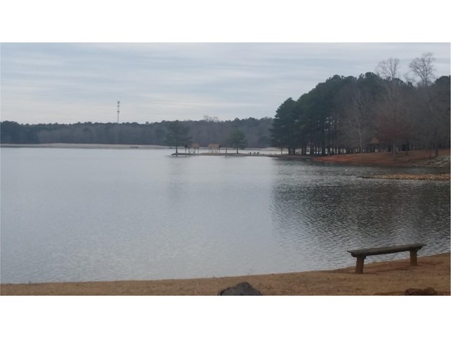 12123 Centerra Dr, Hampton, GA 30228 photo 15