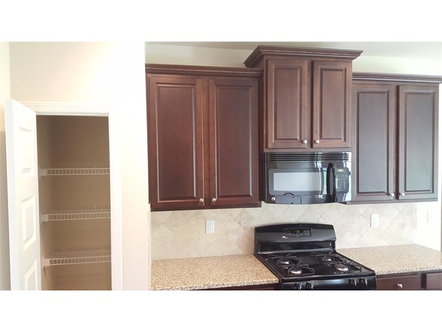 12123 Centerra Dr, Hampton, GA 30228 photo 6