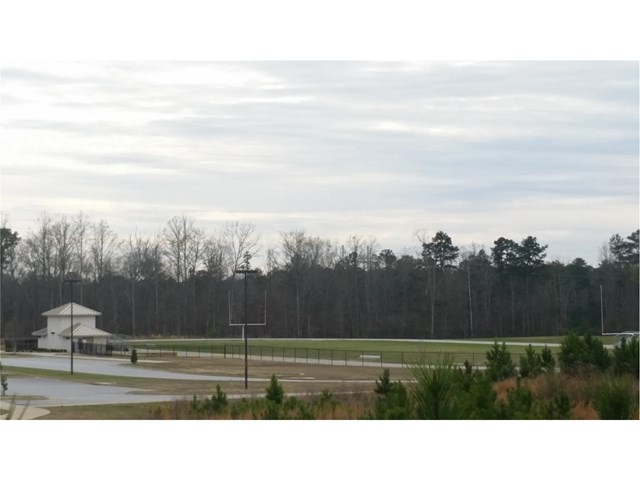 12123 Centerra Dr, Hampton, GA 30228 photo 18